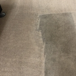 Carpet cleaning