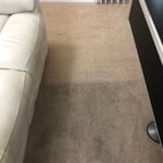 Carpet cleaning