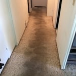Carpet cleaning