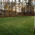 Lawn Care
