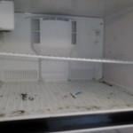 My work.