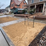 Front lawn