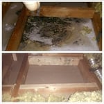 Before and After Photo