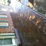 various stamp concrete