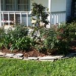 side beds
