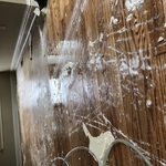 Living room flood