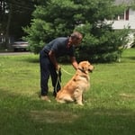 Caring, trained experts