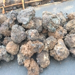 Face Rock Arrived