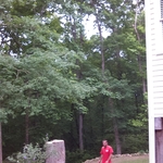 Tree removal over house