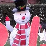 Frosty