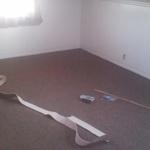 carpet