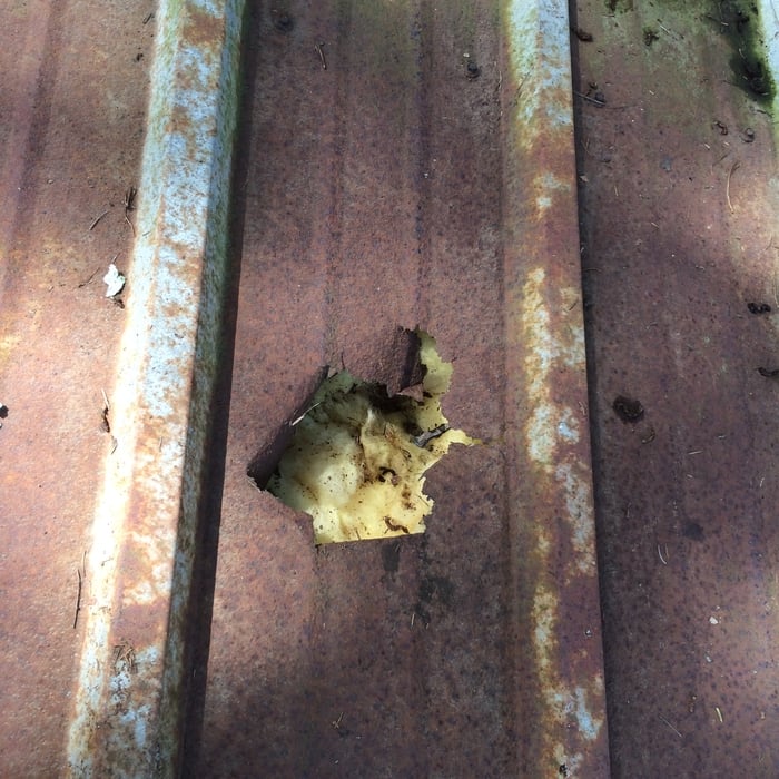 Metal Roof Restoration