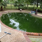 green pool