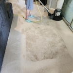 Carpet Stain removal