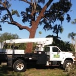 Tree Service
