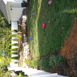 After fence!