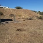 Yard Cleanup