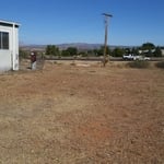 Yard Cleanup
