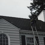 Tile Roof Cleaning