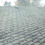 Compositon Roof Before Cleaning