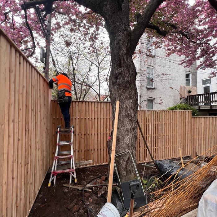 Landscaping & Masonry
