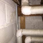 asbestos abatement
