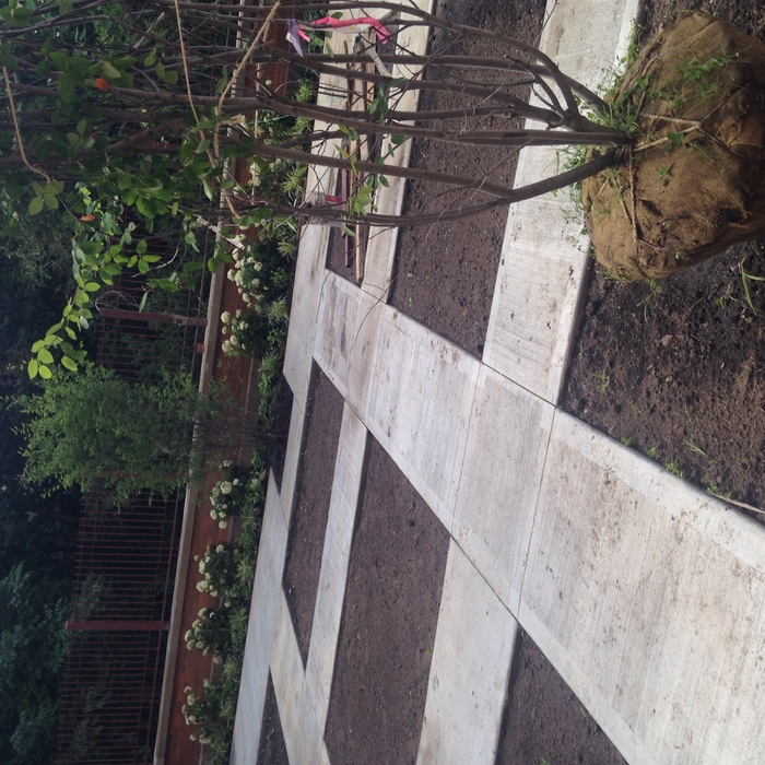 Sidewalk