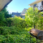 Back Yard 2