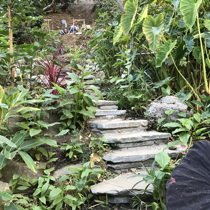 Natural stone steps