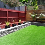 New lawn and Landscaping