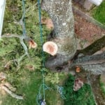 Cornerstone Tree Service Equipment