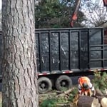 Cornerstone Tree Service Equipment