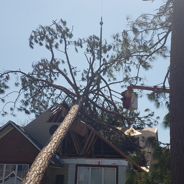Cornerstone Tree Services