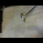 beige rugs-hardest to clean-carpet cleaning