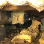 Unhealthy Crawlspace