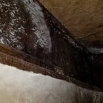 Crawl Space