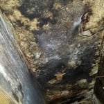 Crawl Space