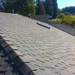 Presidential asphalt shingles