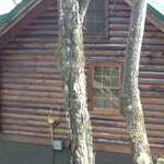 rons cabin