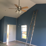 Interior Color Change