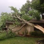 Tree Split on House