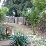 Setting posts
