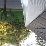 LeafBlaster Install