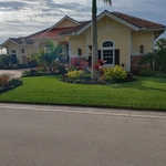 Residential pest control services