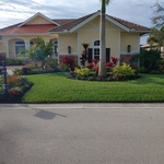 Residential pest control services