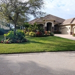 Residential pest control services