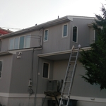 OC ext stain