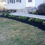 Front Porch / Lead Walk