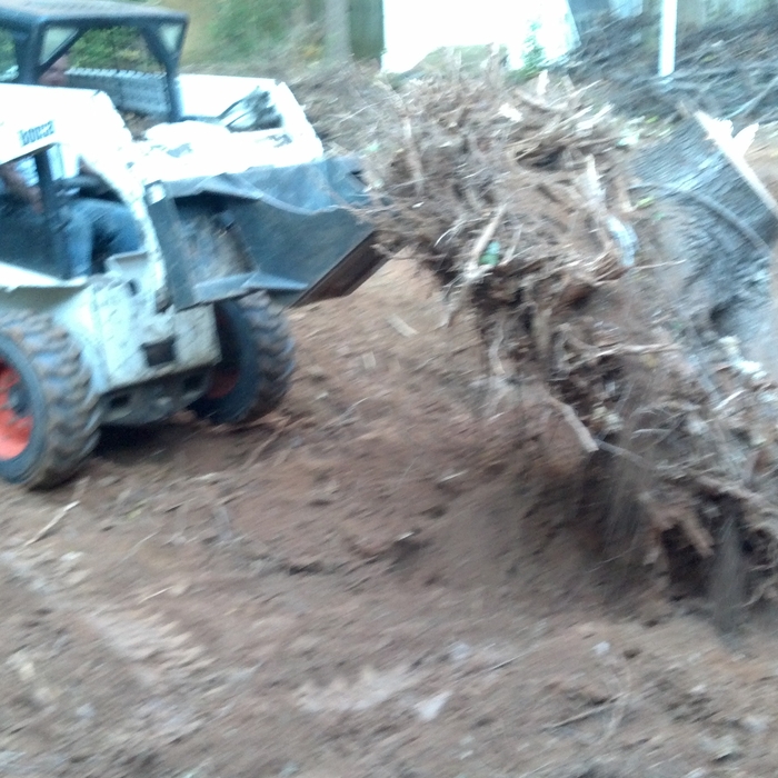 stump out