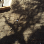 Concrete Patio